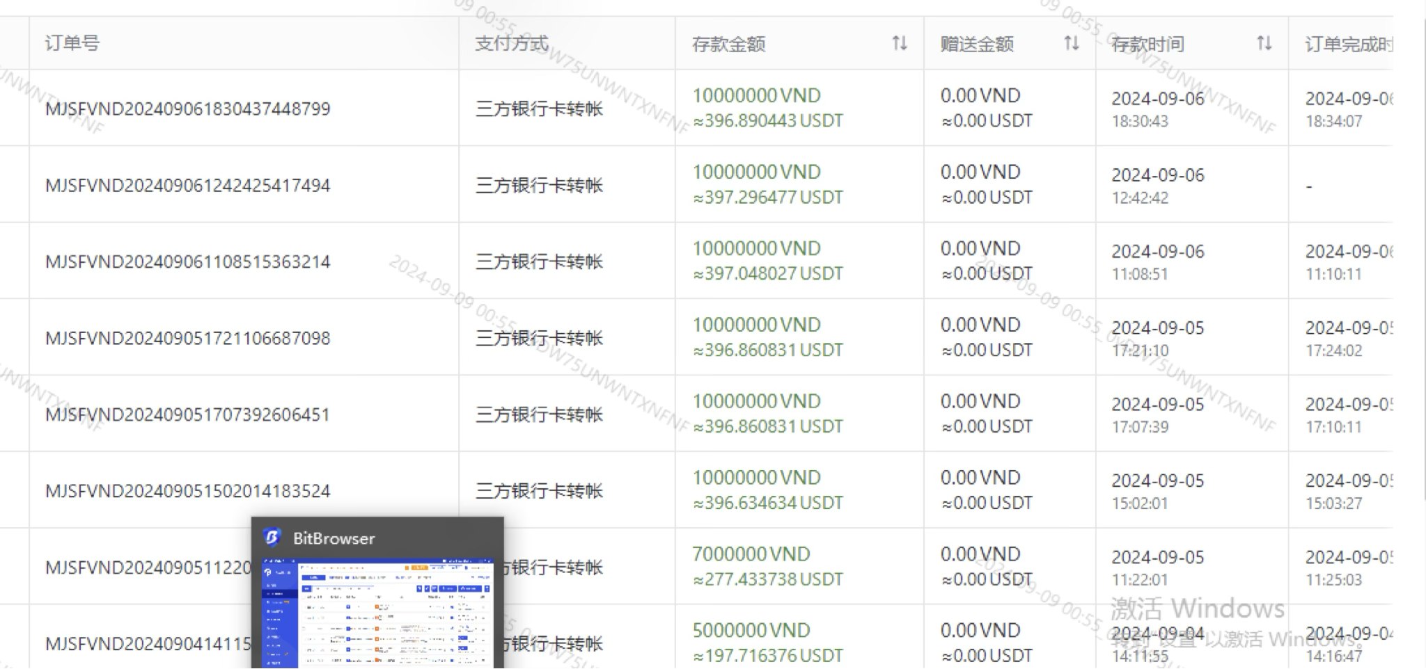 印度越南白帽 SEO 品牌站后台数据